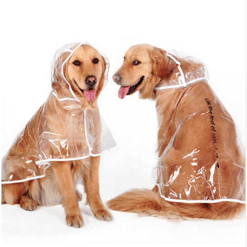 Transparent Autumn Dog Raincoat