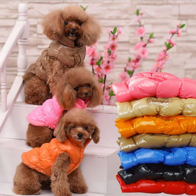 Padded Coats and Jumpsuits for Dogs