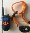 orange-for-1dog