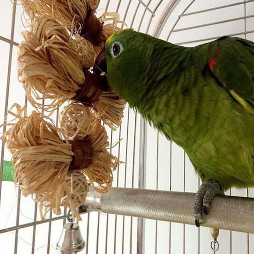 Chewing Toys For Birds