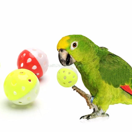 Bird's Toy Ball with Bell - wnkrs