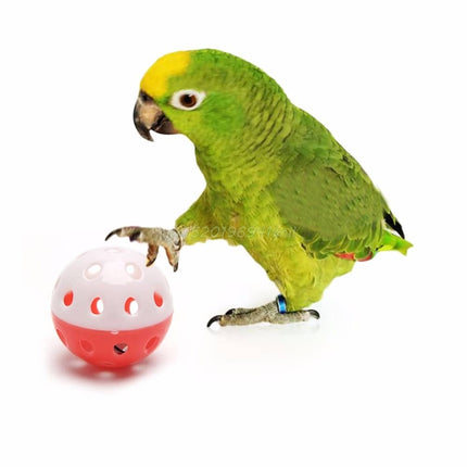 Bird's Toy Ball with Bell - wnkrs