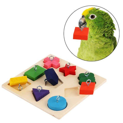 Bird's Educational Block Toy - wnkrs