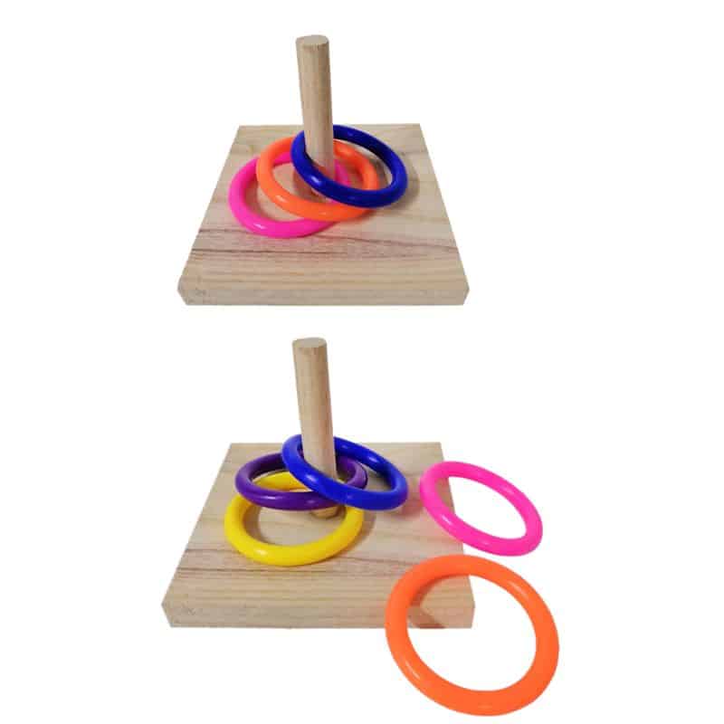 Bird's Ring Toy