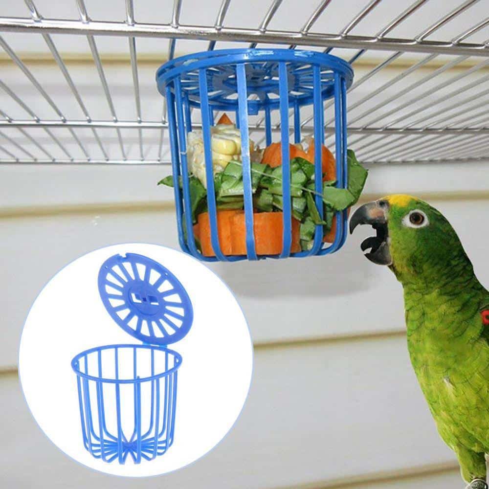 Bird's Cage Design Feeder