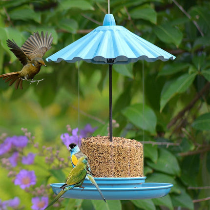 Artistic Outdoor Feeder for Birds - wnkrs