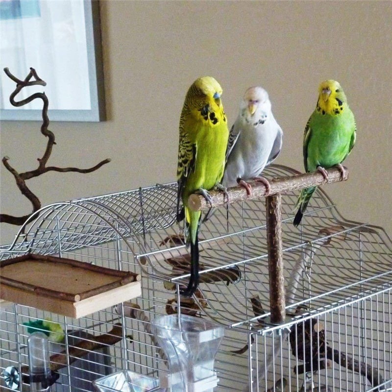 T-Shaped Bird's Perch
