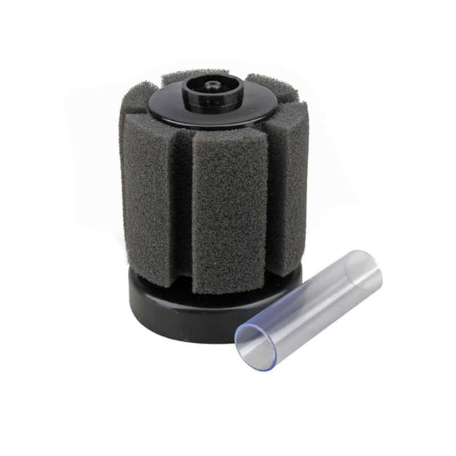Aquarium Sponge Filter - wnkrs