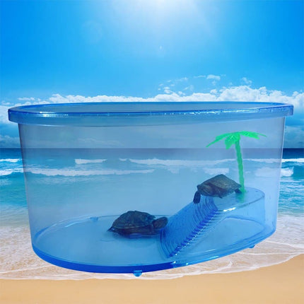 Transparent Plastic Terrariums For Turtles - wnkrs