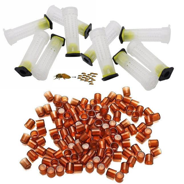 Queen Rearing Kit 90 pcs Set - wnkrs