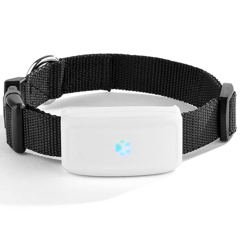 Collar-Mounted GPS Pet Tracker