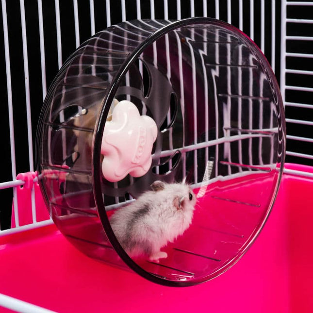 Transparen  Exercise Wheel for Small Pets - wnkrs