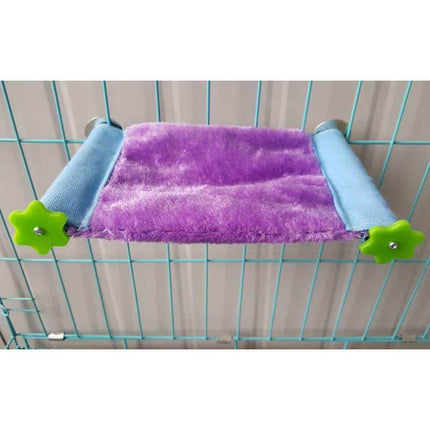Color Block Bed for Small Pets - wnkrs