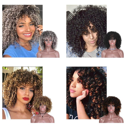 14 inch Afro Kinky Curly Wig - wnkrs