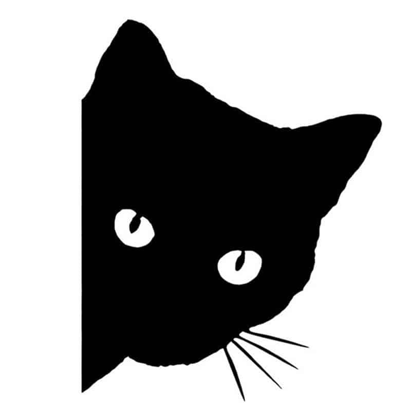 Cat Face Car Sticker