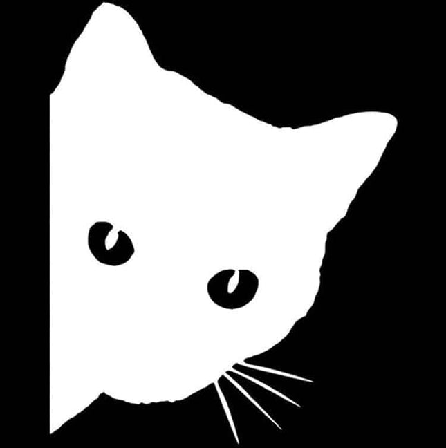 Cat Face Car Sticker - wnkrs