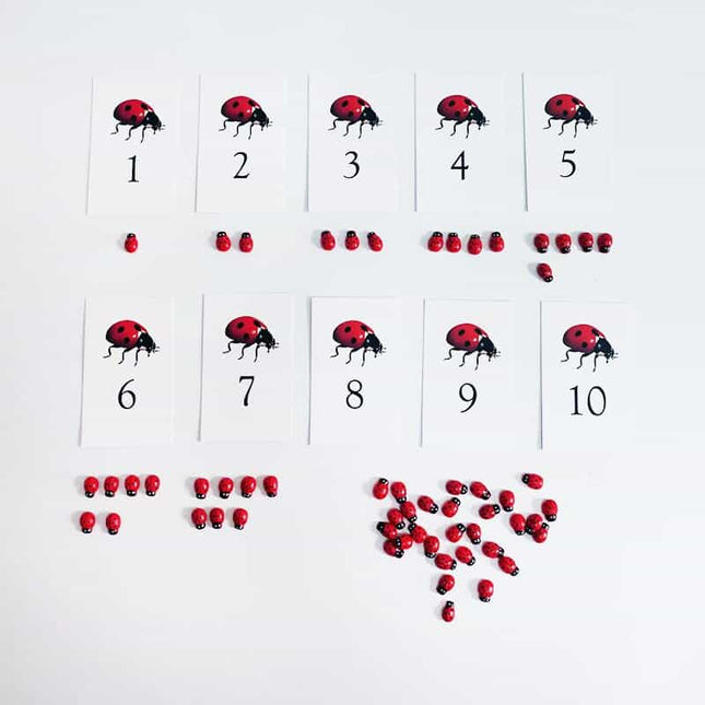 Ladybug Numeric Activity Cards Set - wnkrs