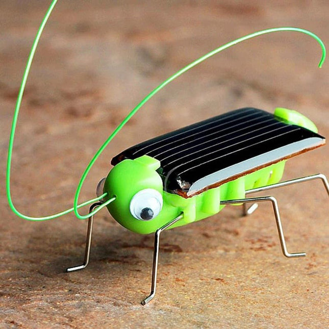 Little Grasshopper Robot Toy - wnkrs