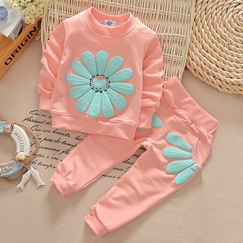 Baby Girl’s Floral Printed Pullover and Pants Clothing Set