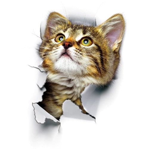 3D Cats Vinyl Wall Stickers - wnkrs
