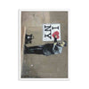 imagen-5