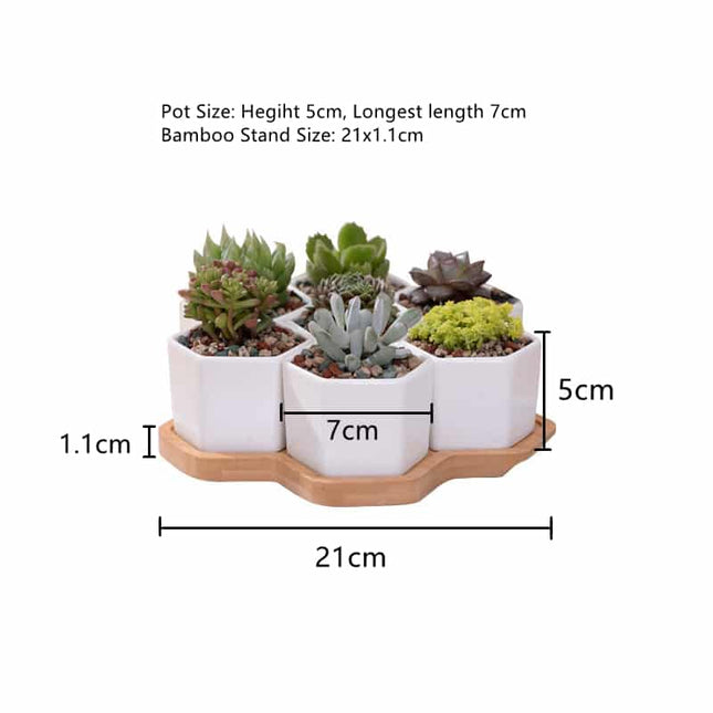Geometric White Ceramic Plant Pot - wnkrs