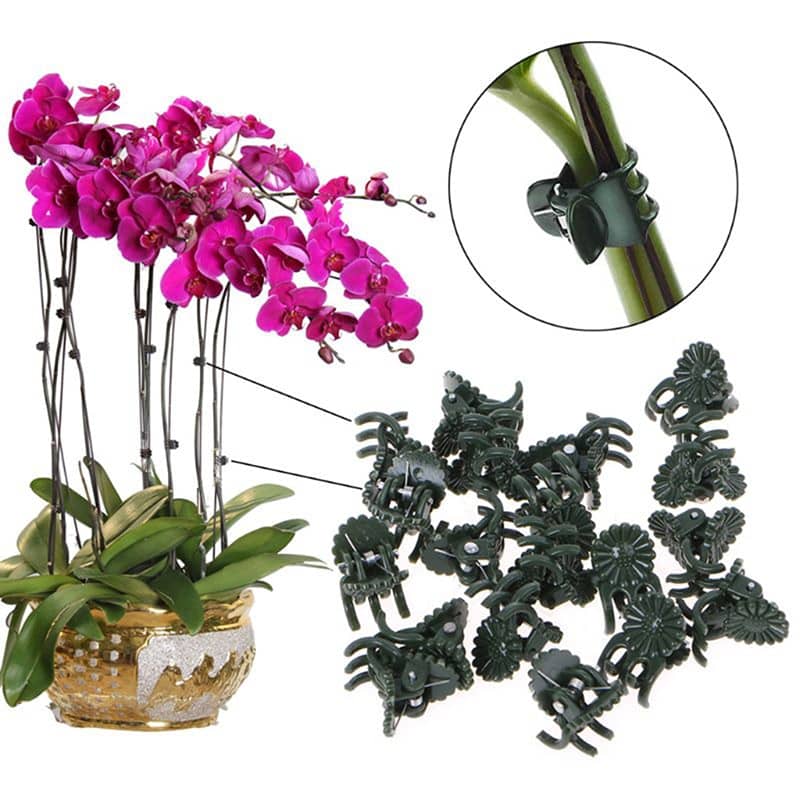 Set of 20 Plastic Support Plant Clips