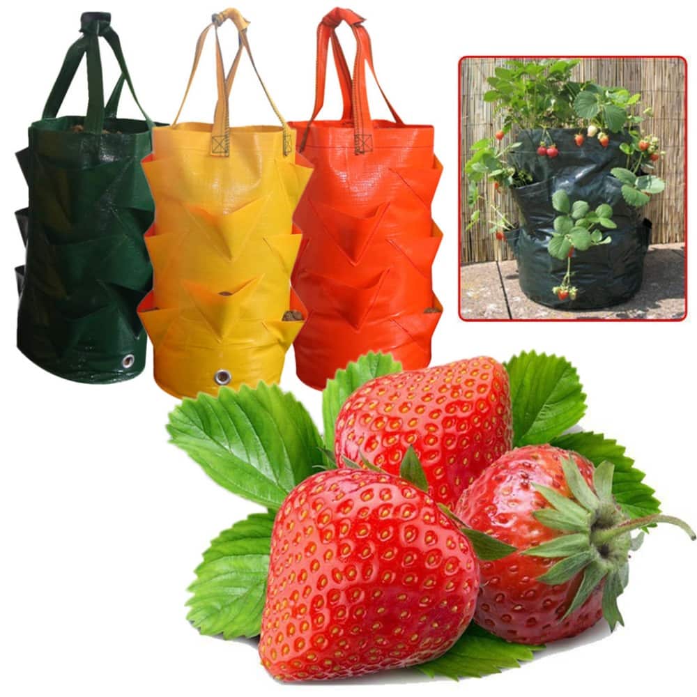 3 Gallon Plastic Planting Growing Bag