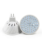 monsieur16 / 48 LED / 220v