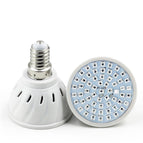 e14 / 48 LED / 220v