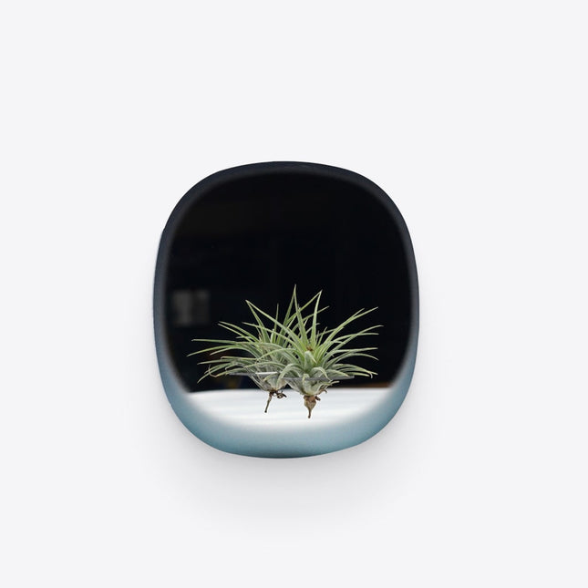 Square Blue Plant Mirror - wnkrs