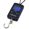 escala wh-a01lb