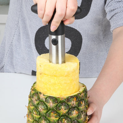 Stainless Steel Pineapple Cutter Tool - Wnkrs