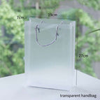 transparent-handbag