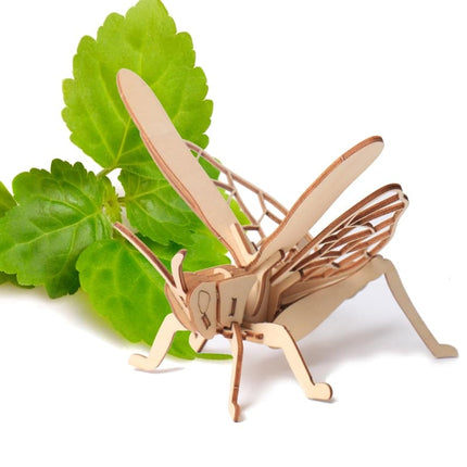 3D Insect DIY Kit - wnkrs