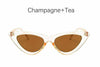 té-champaña