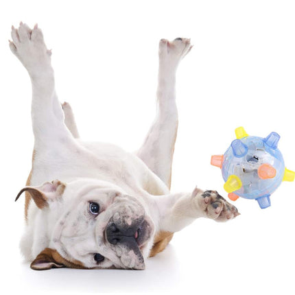 Active Jumping Ball For Dogs - wnkrs