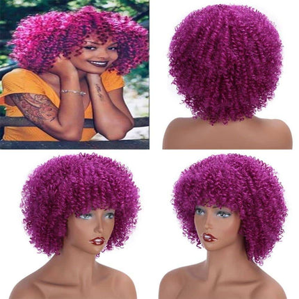 14 inch Afro Kinky Curly Wig - wnkrs