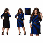 Blue / XXL